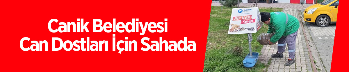 Canik Belediyesi Can Dostları İçin Sahada - samsun haber
